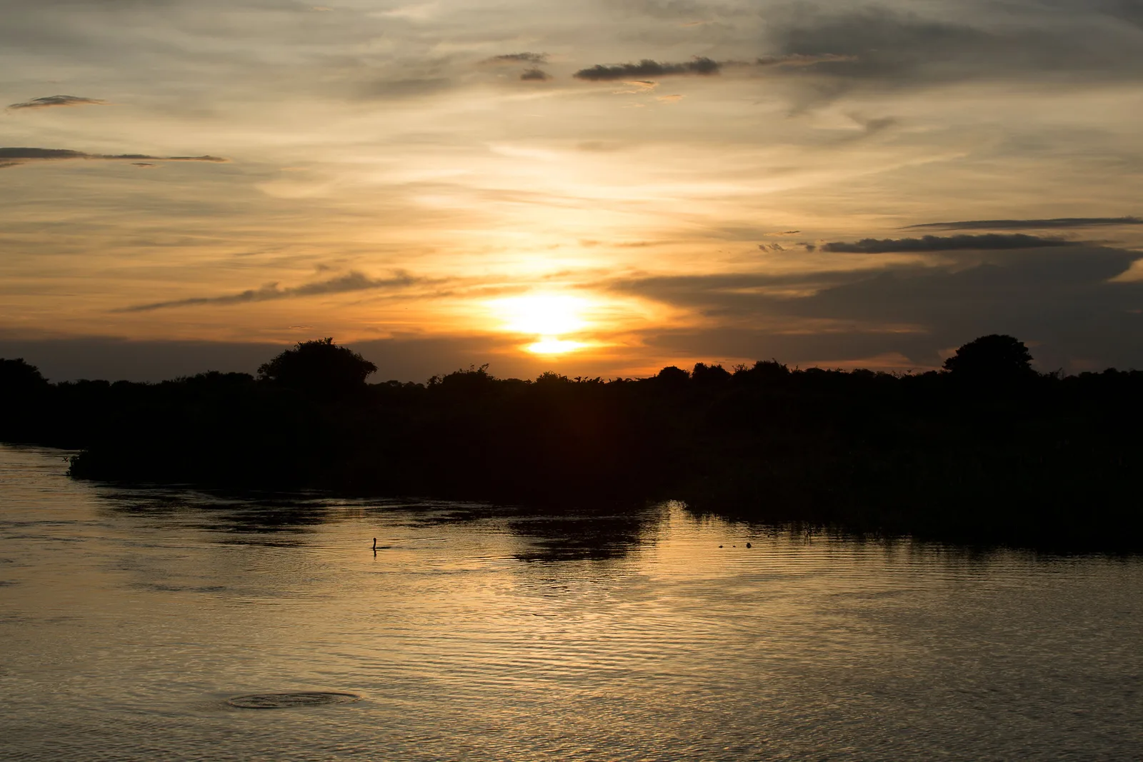 The sun sitting low and orange over a river, a dark tree line along the far bank and gold light across the water