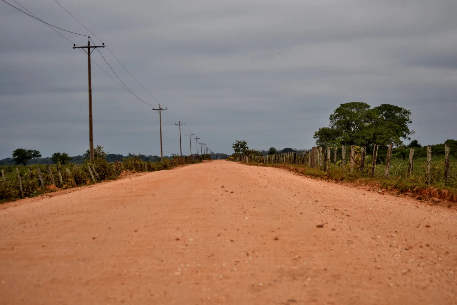 A red dirt road running straight to a low horizon between fences and green scrub, a line of power poles beside it under a gray sky