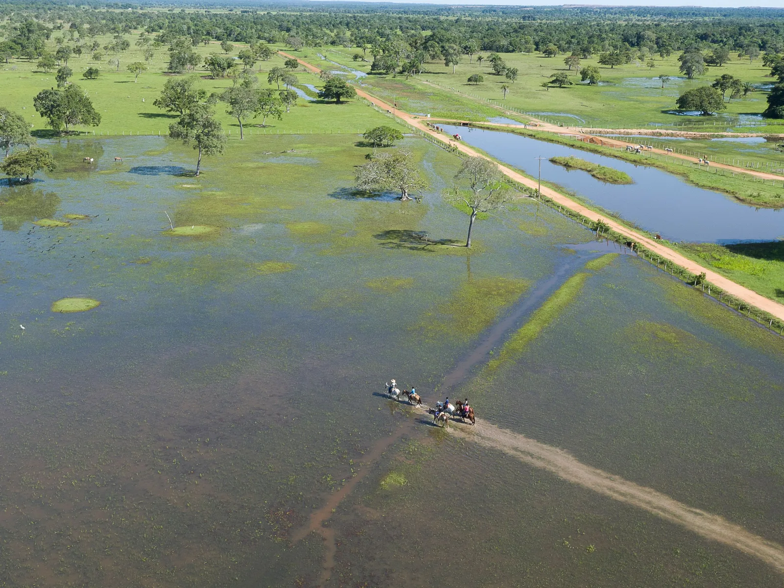 Aerial view of a raised dirt road crossing a broad flooded plain, with a small group of riders on horseback fording the shallow water below it and bare trees standing in the flood
