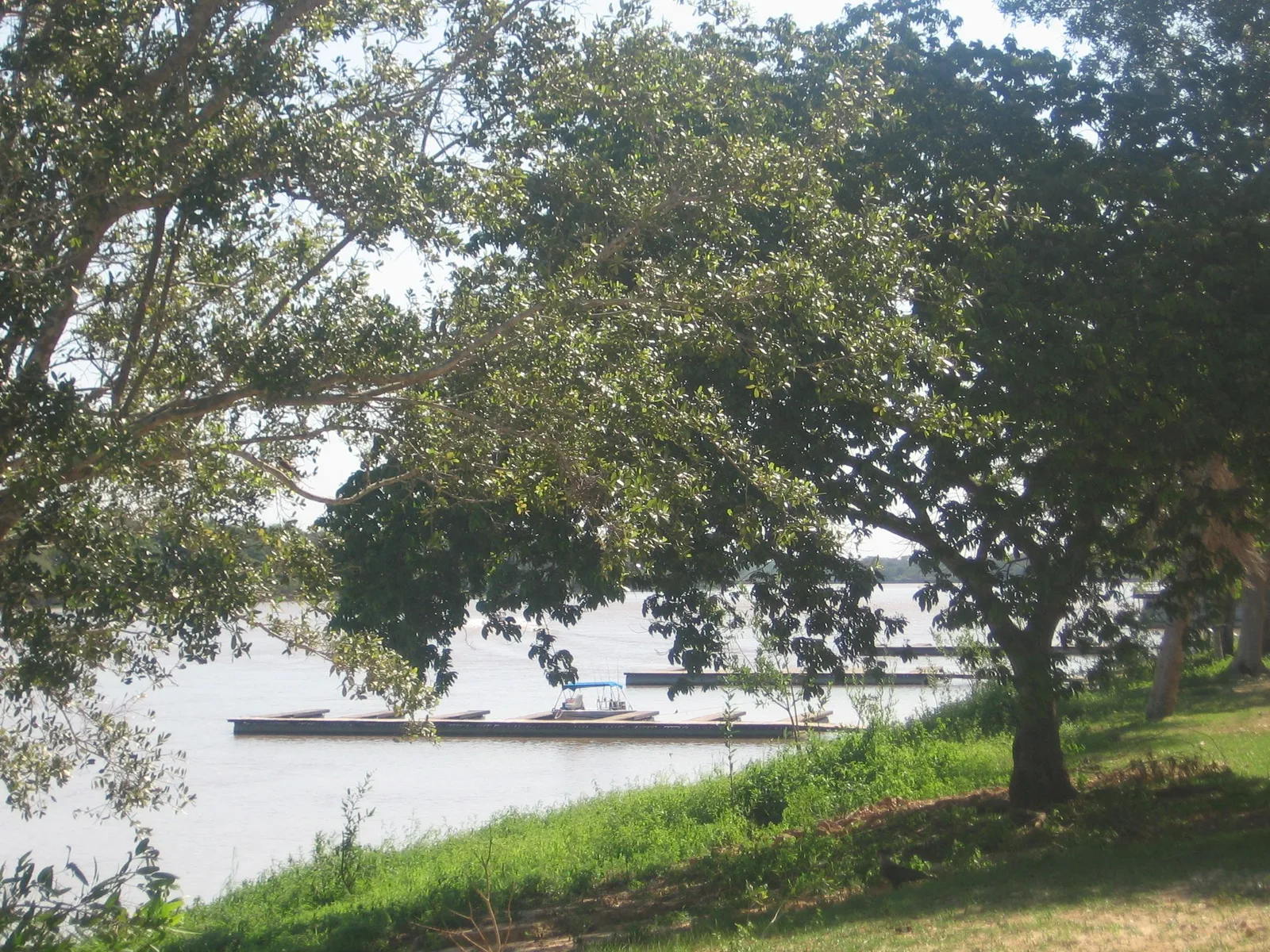 A line of small boats moored along a grassy riverbank under large shade trees, the wide brown river and its far tree line beyond