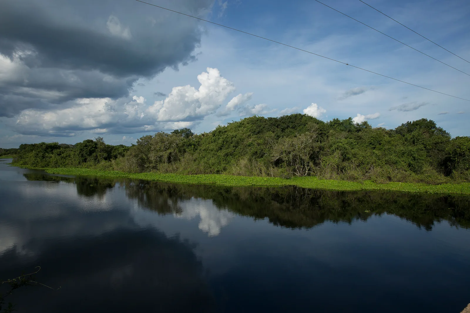 A still, dark river reflecting bright cumulus and a bank of storm cloud, with a low wooded shore and a fringe of water hyacinth along the far side, and power lines crossing the sky above