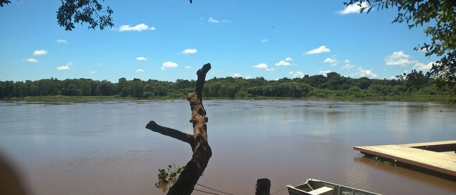 A wide brown river with a small aluminum boat moored at the near bank, a bare dead tree standing in the shallows and forest along the far shore