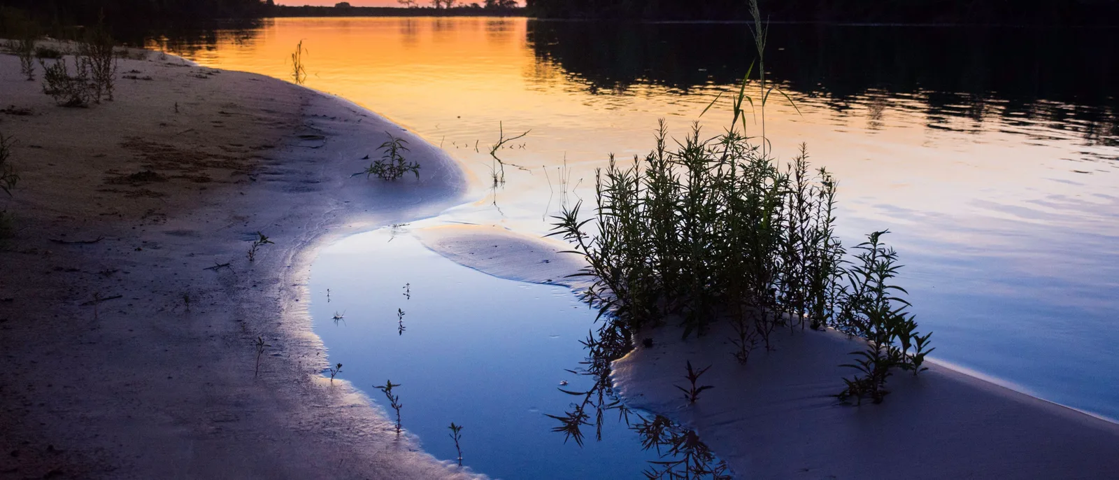 A river bend at sunset with a curving sandbar, orange sky reflected in still water and low shrubs in the foreground