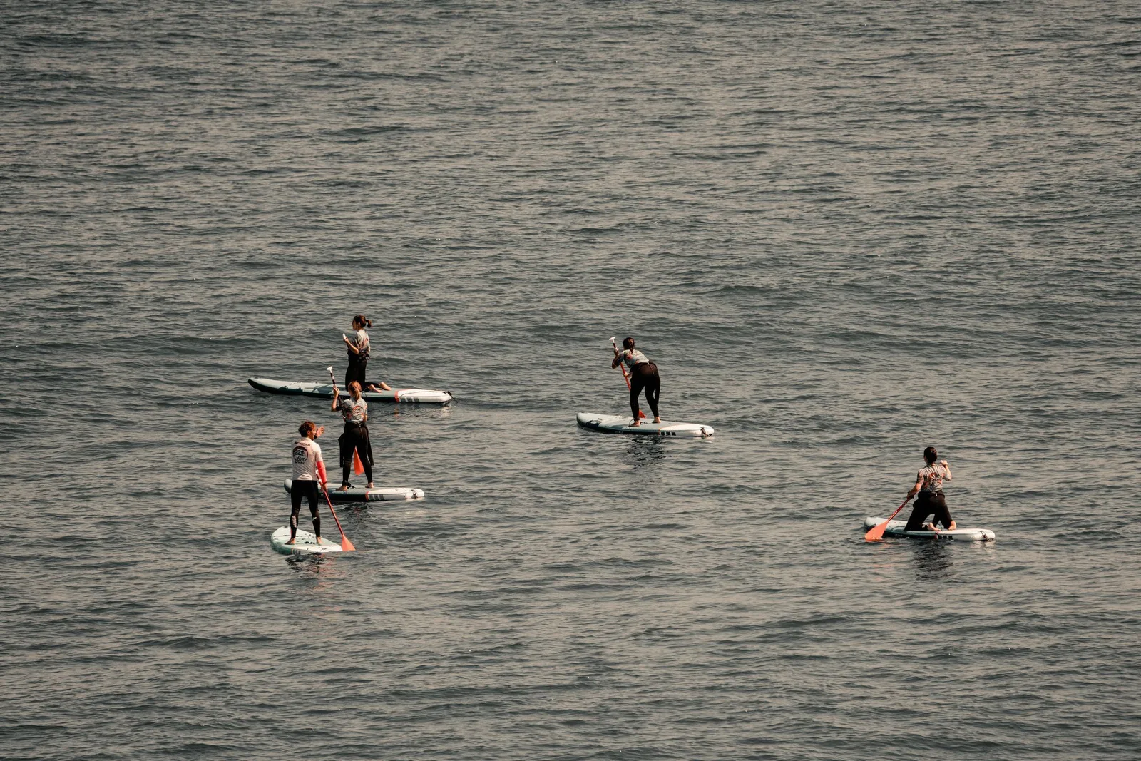 Stand-up paddlers spread out across flat, shallow water in the late afternoon