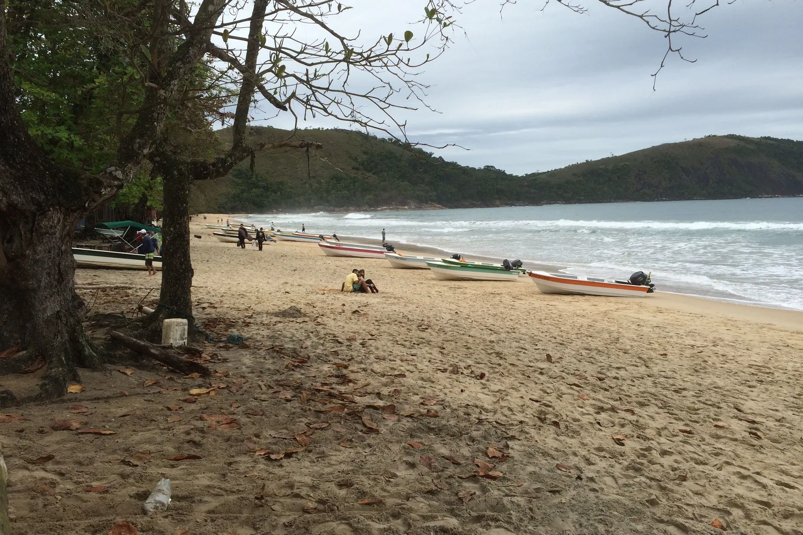 The long empty crescent of Praia do Sono seen from the forest trail as it comes down to the sand, a few small wooden houses at the treeline and green headlands closing both ends of the bay