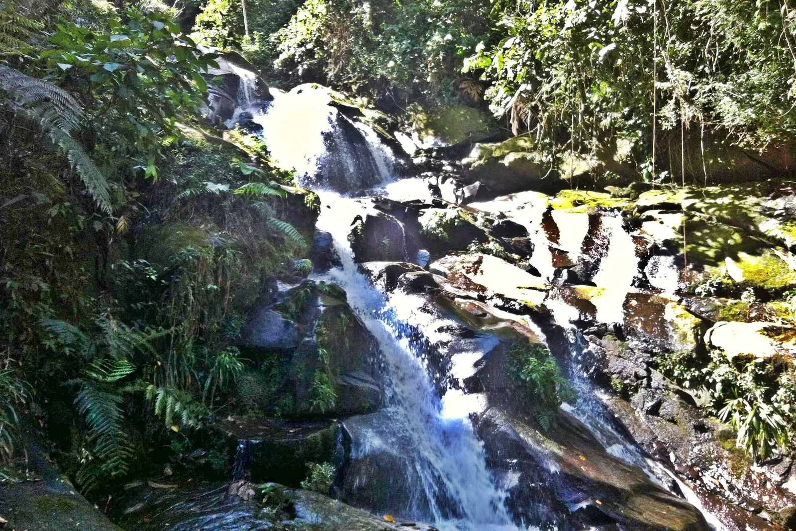 A waterfall on the Rio Taquari above Paraty, water running over dark rock ledges in dense Atlantic Forest, rainforest closing over the river