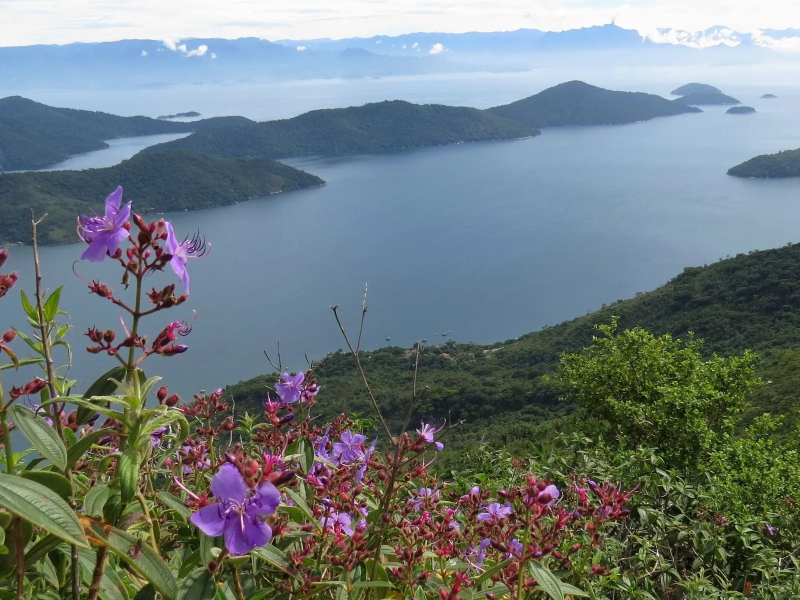 The view from the summit of Pico do Mamanguá looking straight down the length of the Saco do Mamanguá inlet, flat water between two steep forested ridges running out to the open bay, in clear morning light