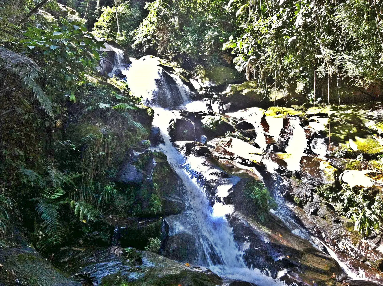 A waterfall in the Atlantic rainforest behind Paraty