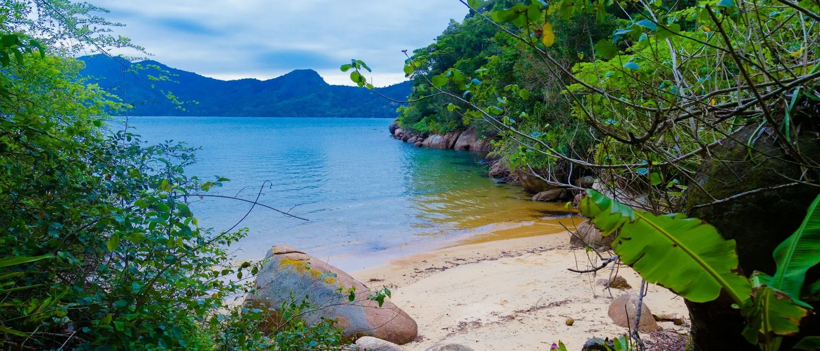 A small empty beach on the roadless coast south of Paraty, flat water and forest closing in on both sides, no buildings anywhere in the frame