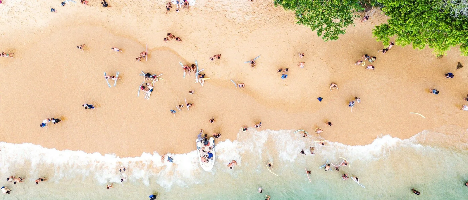 Trindade beach from above, swimmers and sunbathers on pale sand with dense forest running right down to the top of it