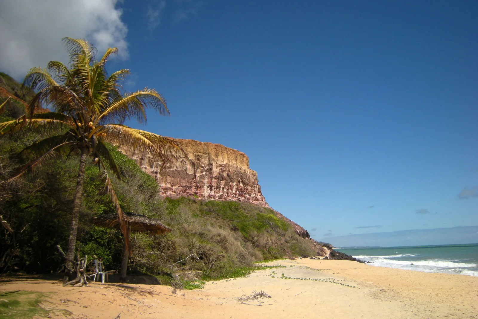 A single coconut palm and a thatched shade on the sand at Praia do Madeiro, a tall banded red cliff rising behind them and surf running up the beach
