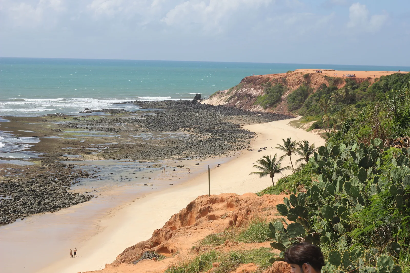 Wide dark ledges of beachrock and shallow pools exposed at low tide along Praia do Amor, seen from a clifftop with prickly pear cactus in the foreground, palms on the slope and a flat-topped red headland at the far end