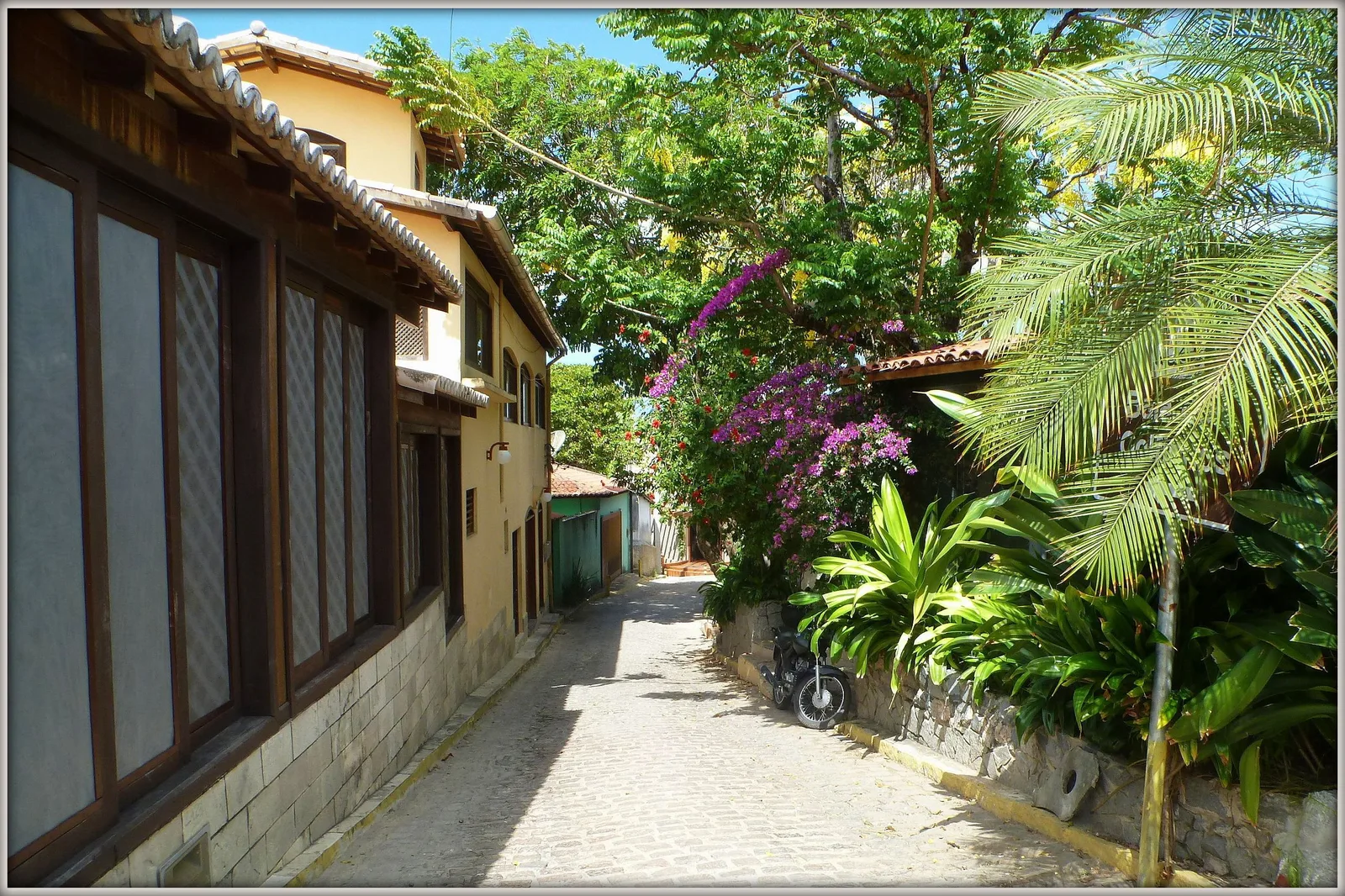 A narrow cobbled lane in Pipa between a yellow house and a stone garden wall, bougainvillea in flower over the wall, a palm leaning across the street and a motorbike parked at the side