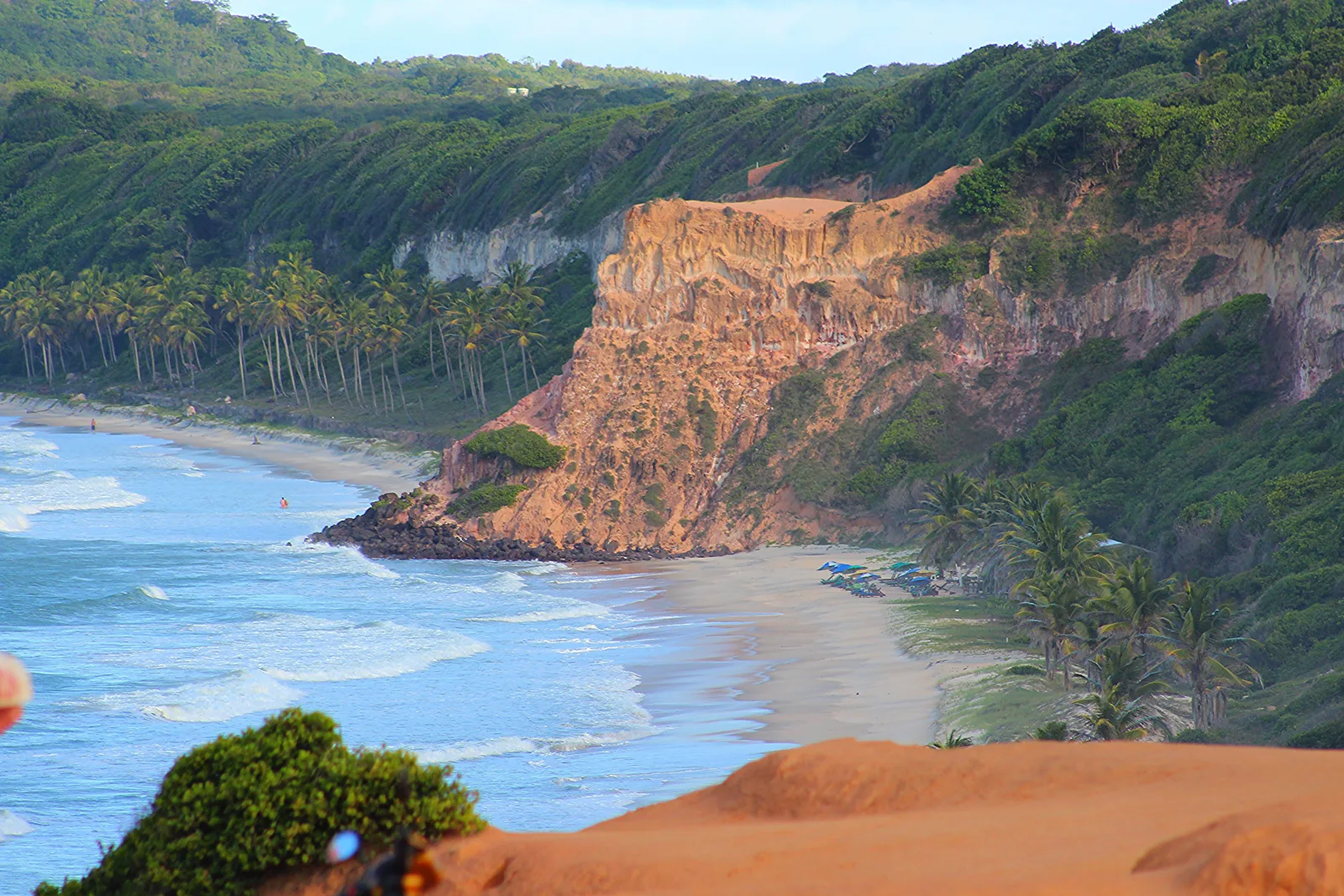 A beach below a tall red cliff headland at Pipa seen from a sandy clifftop, coconut palms along the back of the sand, blue parasols on the beach and surf running in from blue water