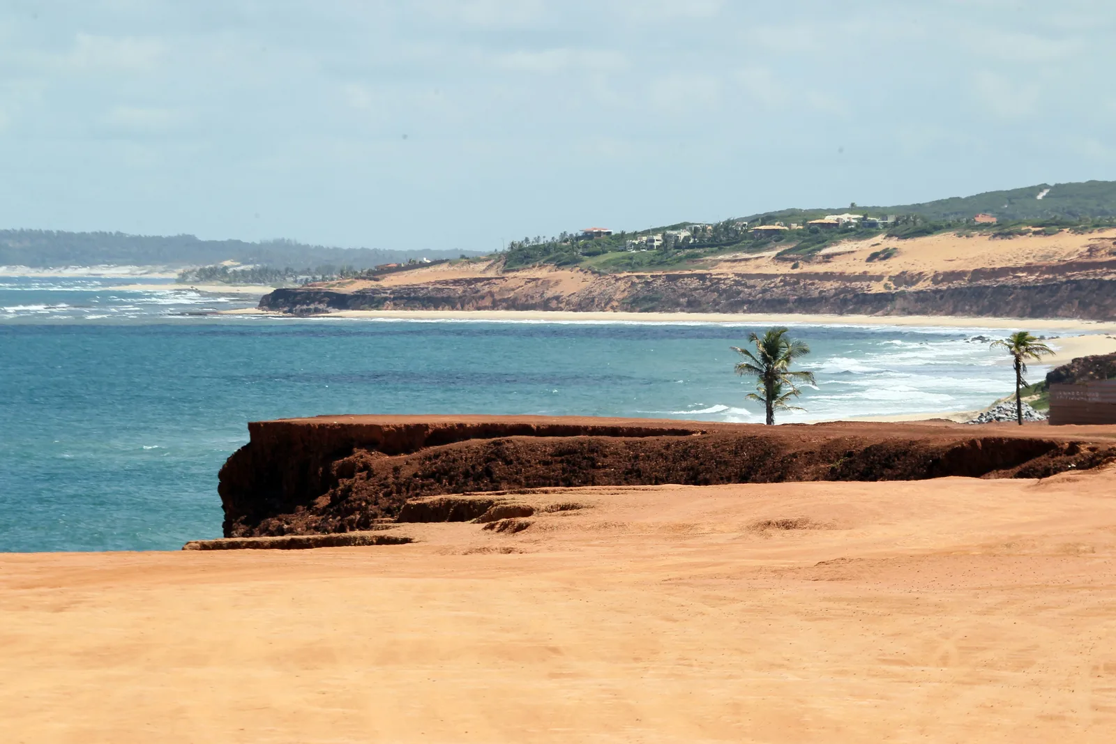 A flat red clifftop with two coconut palms at its edge, and beyond it a long pale beach and the cliff and dune coast running away north toward Tibau do Sul