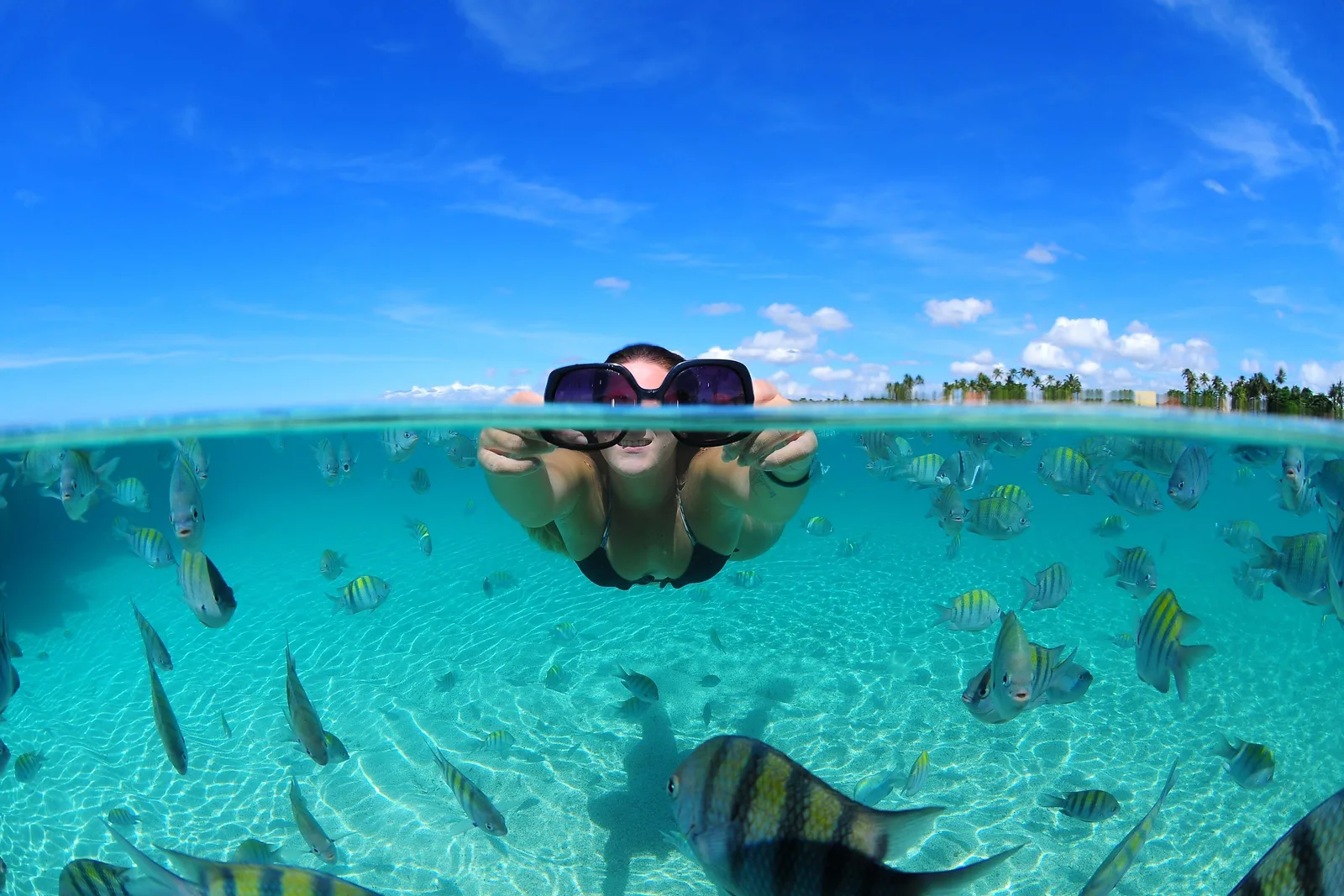 A split-level photograph, half above and half below the waterline: a woman hovers just under the surface of clear turquoise water holding a pair of dark sunglasses up in front of her face, striped sergeant-major fish all around her over rippled white sand, blue sky and a low palm-lined shore above
