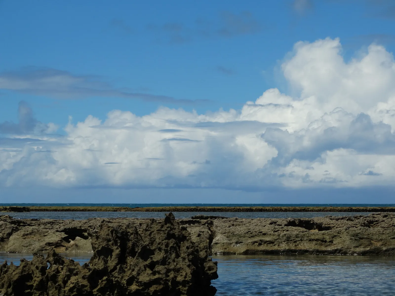 A long line of exposed reef running across shallow water under a bright sky stacked with white cumulus
