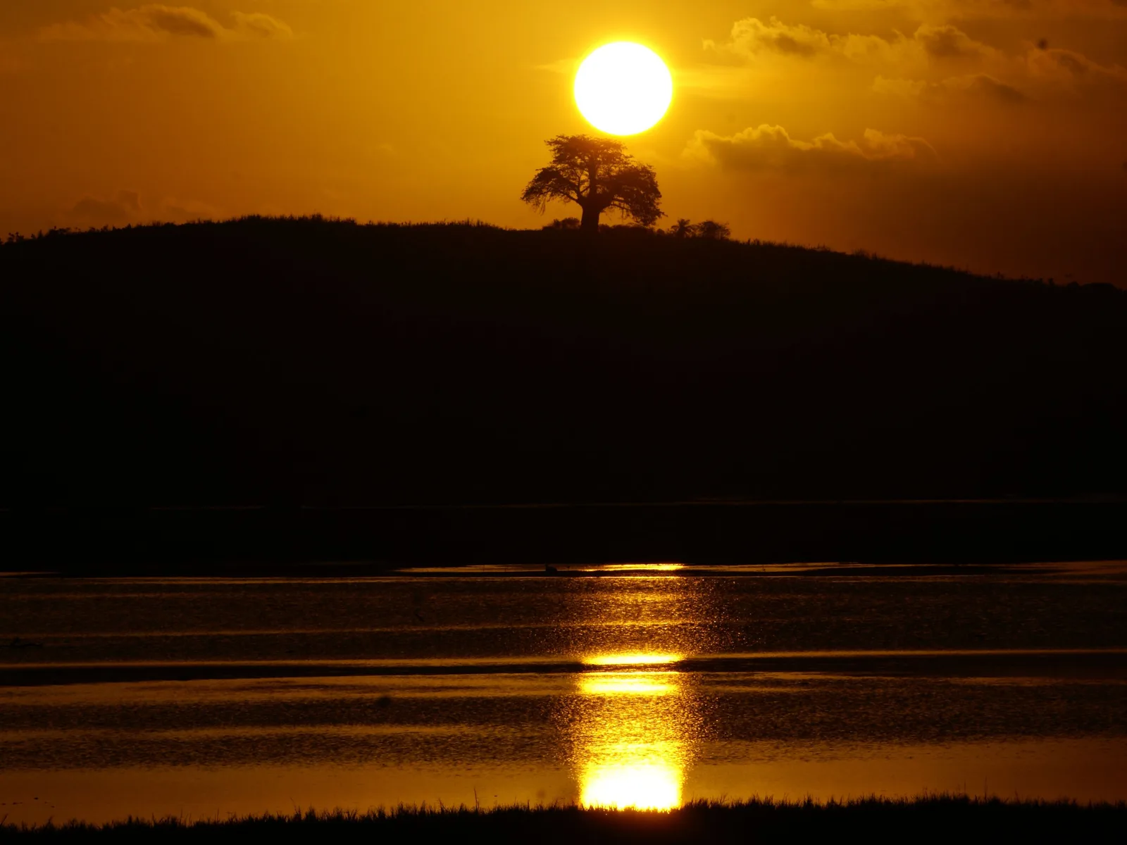 The sun dropping behind a low wooded rise across a still estuary, laying a column of gold on the water