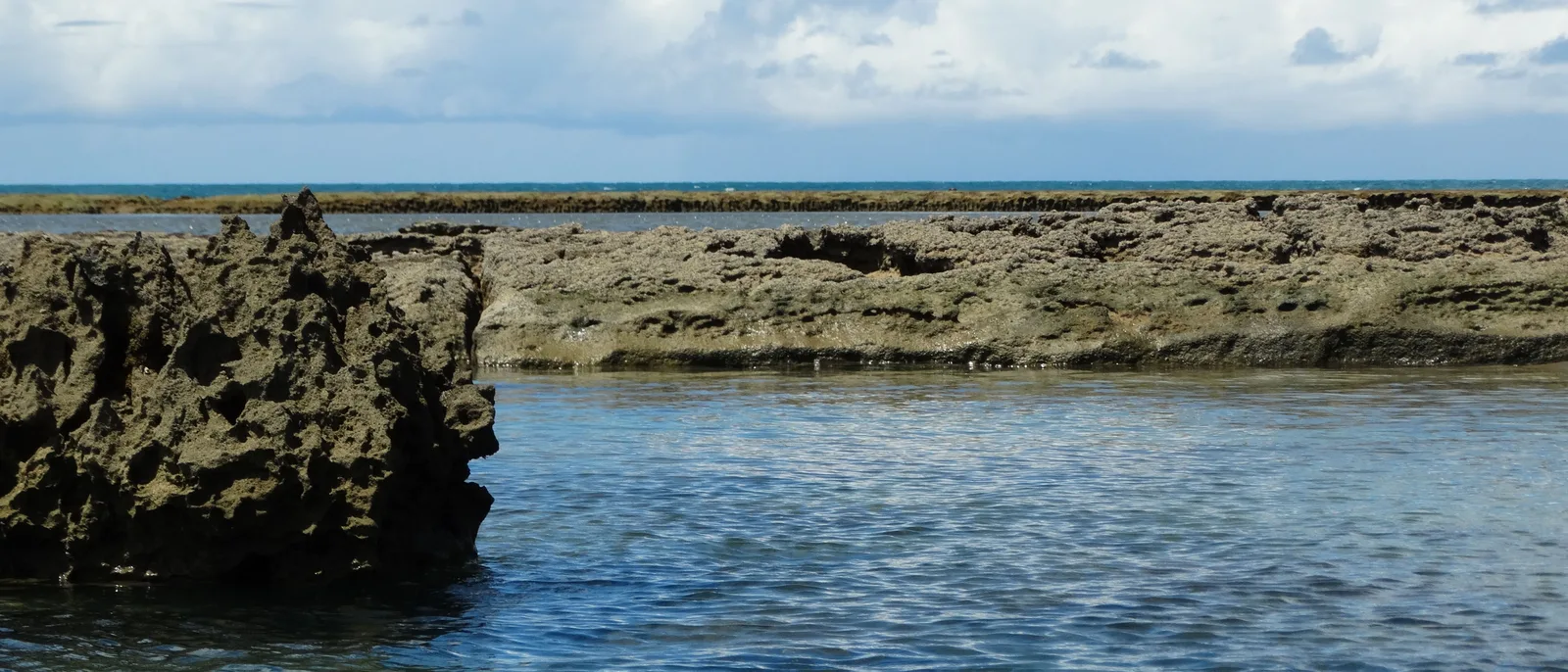 The dark exposed reef wall at Muro Alto standing out of clear shallow water at low tide under scattered cloud