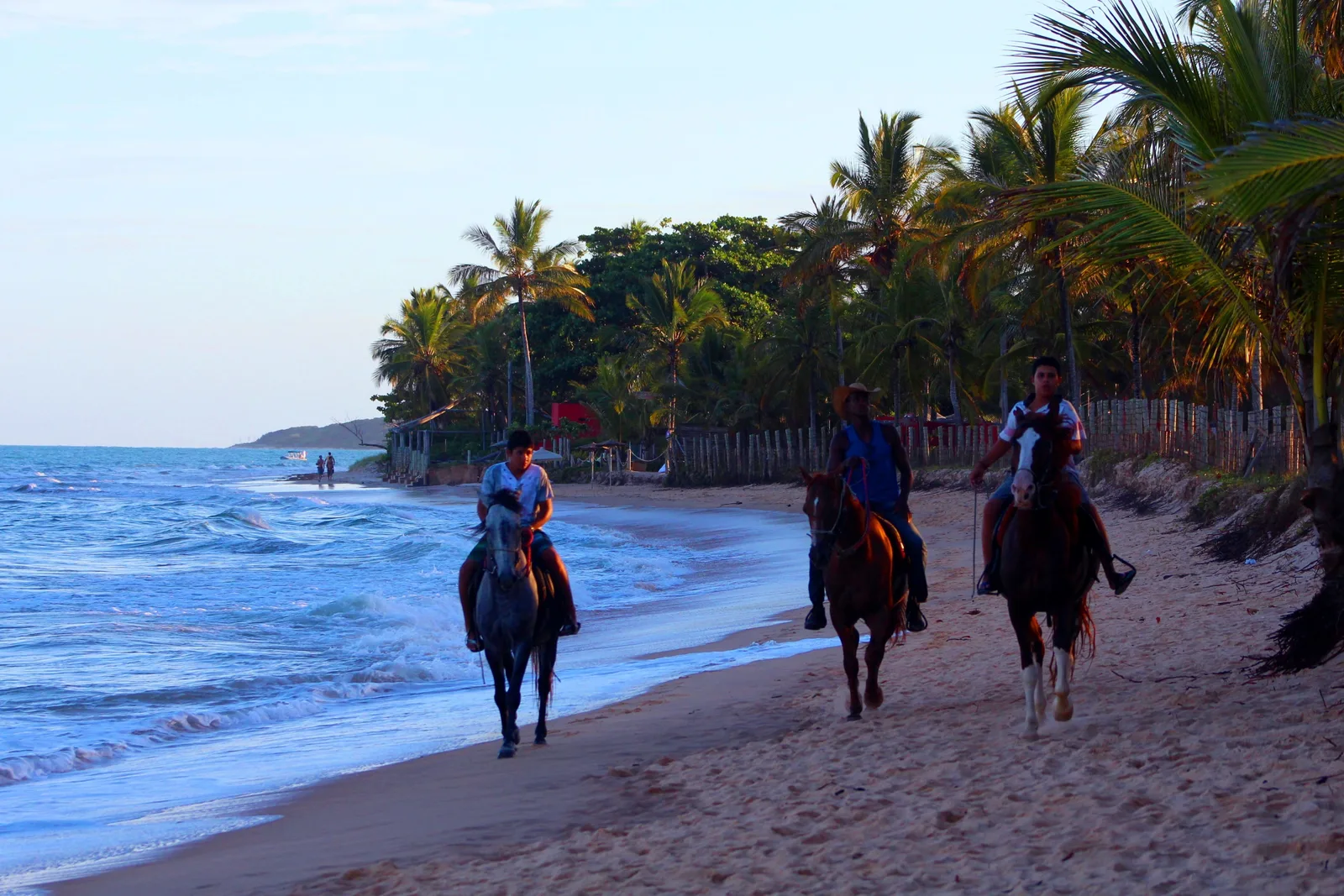 Three riders on horseback walking along the wet sand at the water’s edge on a beach at Trancoso, coconut palms and a low fence along the top of the beach behind them