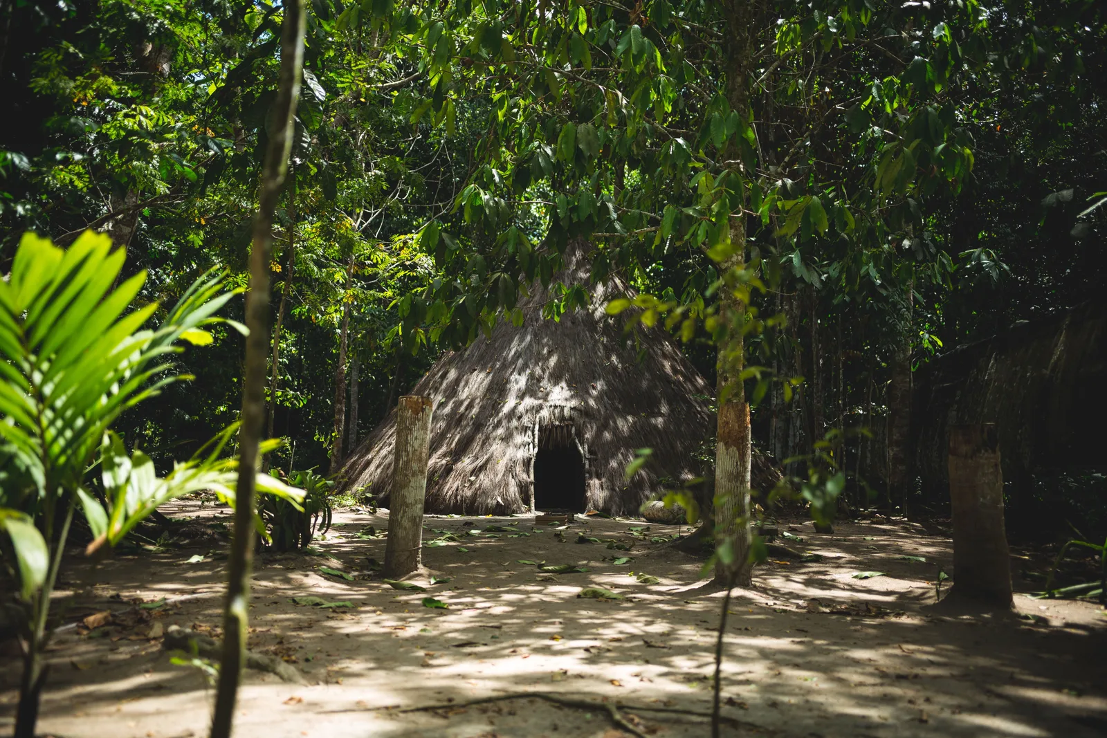 A dome-shaped thatched house with a dark doorway in a sandy clearing among tall trees at the Pataxó reserve of Jaqueira, near Porto Seguro