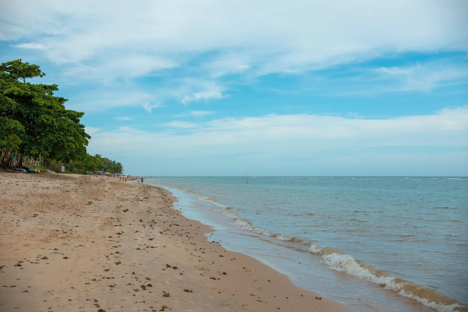 A quiet beach south of Arraial d’Ajuda with small waves running up the sand, a clump of green trees at the top of the beach and a cloudy sky over the sea