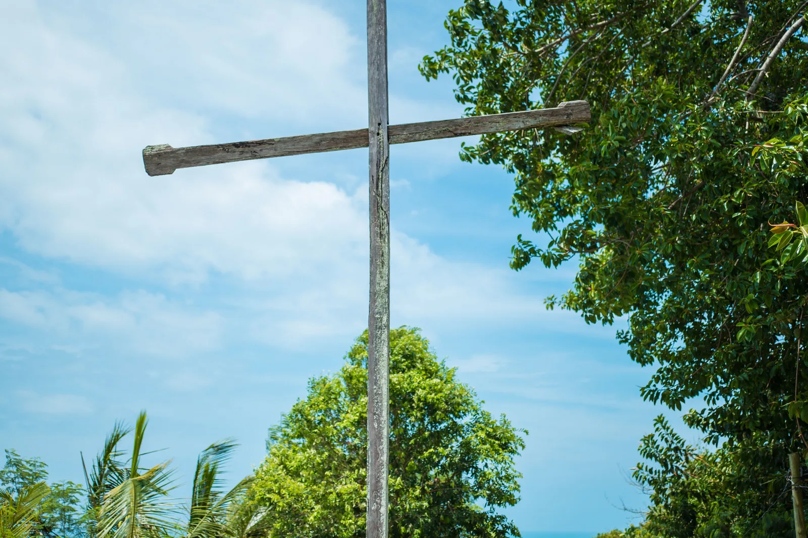 A tall weathered wooden cross standing among trees in Porto Seguro’s Cidade Alta, seen from below against a bright sky
