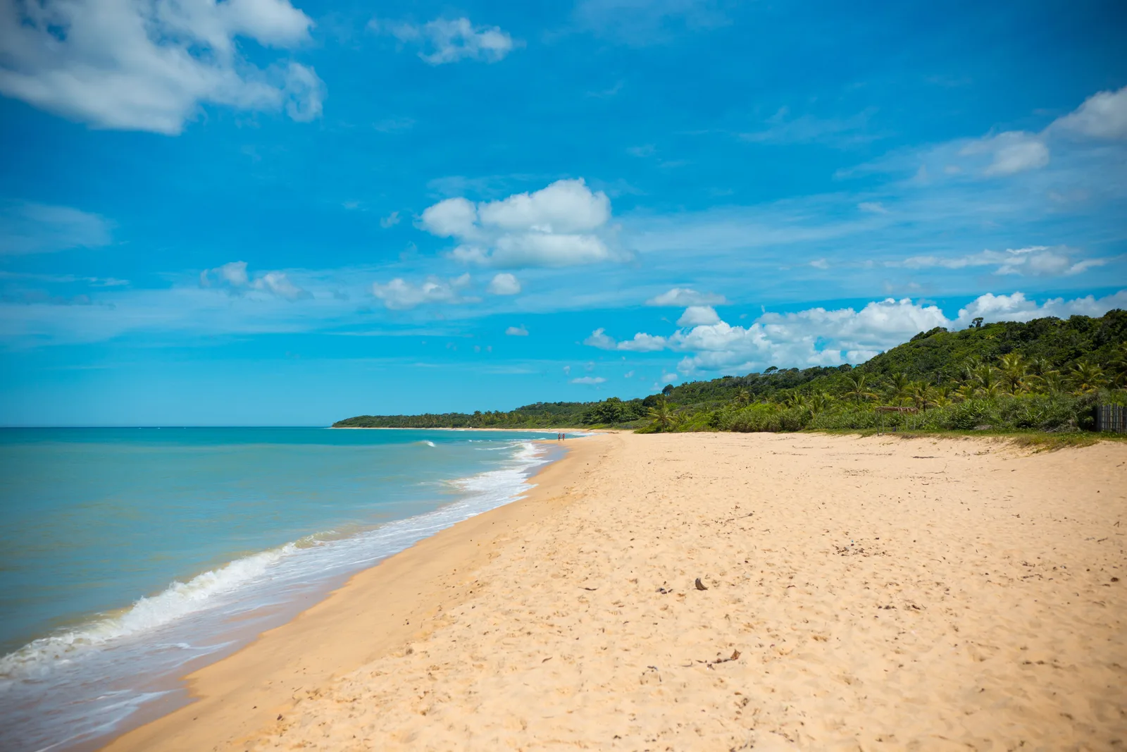 A broad empty beach at Itapororoca, south of Trancoso, pale sand curving away beside small waves toward a low wooded shore