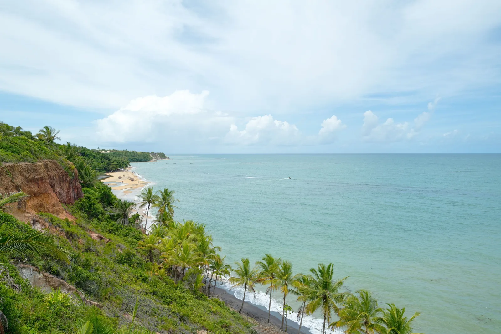The coast at Trancoso from a height: a red cliff on the left, a line of coconut palms along the beach below and pale green sea running to the horizon