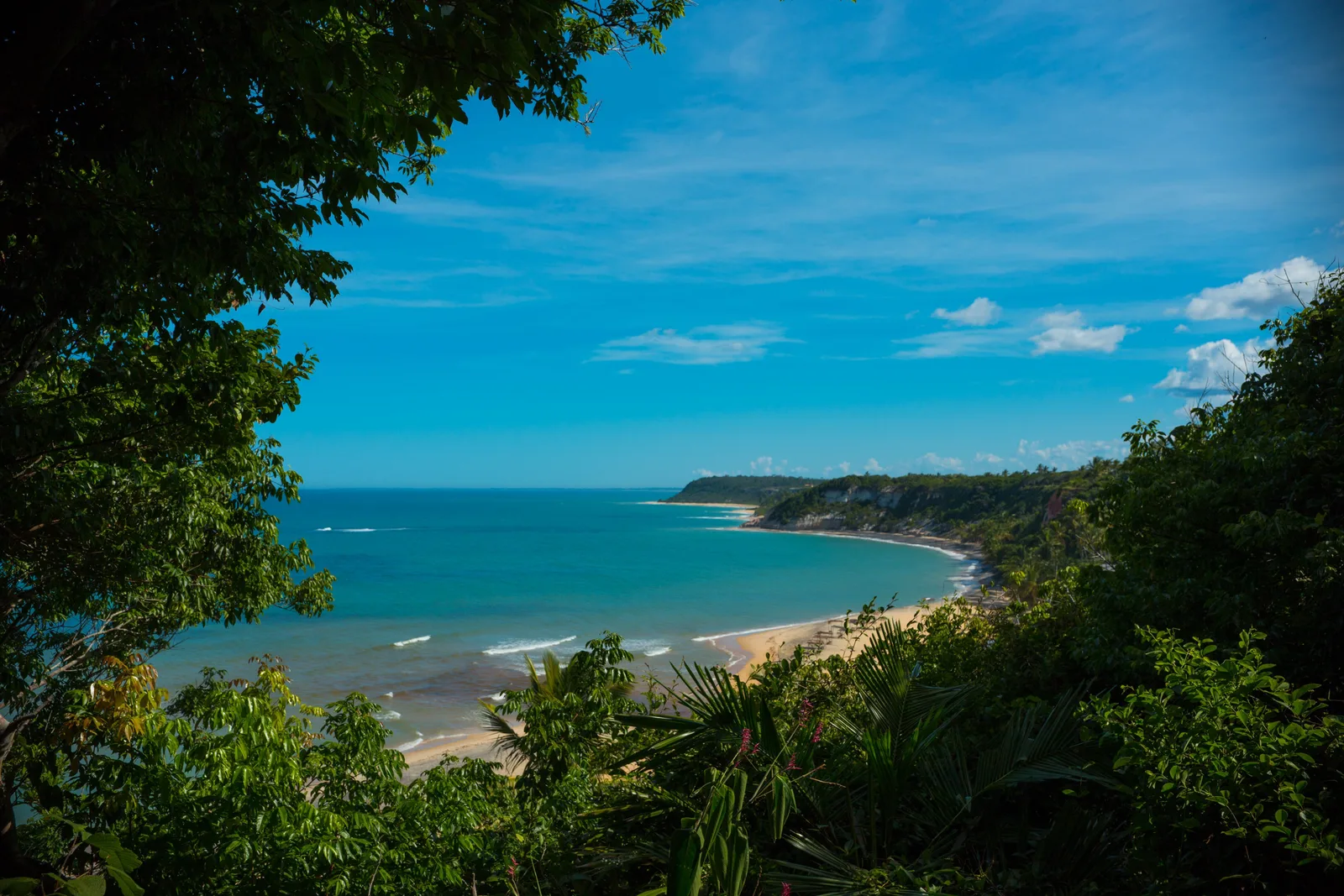 Praia do Espelho seen from above through a frame of green leaves: a beach curving along turquoise water toward a forested headland under a blue sky