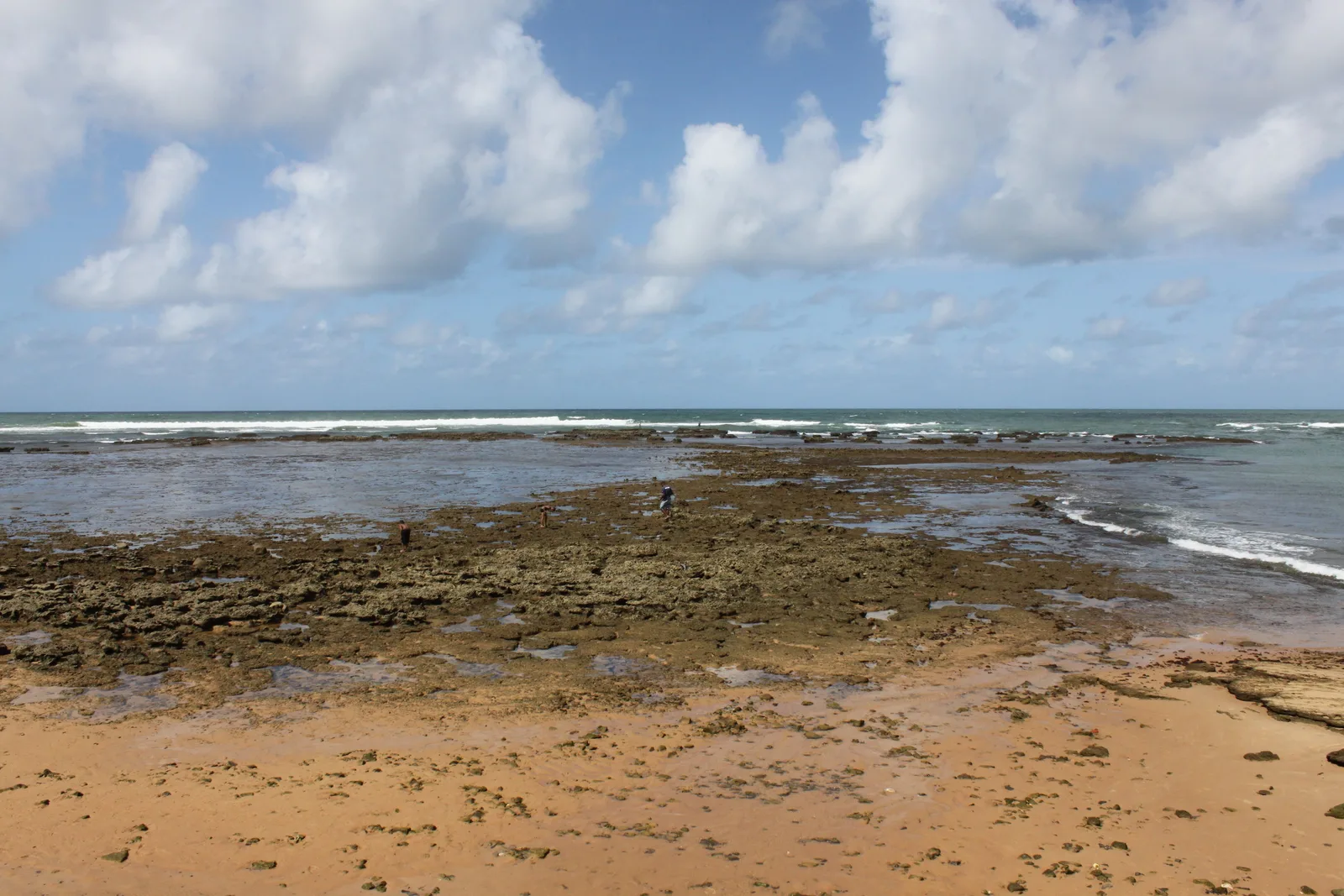 The reef exposed at low tide along the beach at Praia do Forte, the sea breaking beyond it