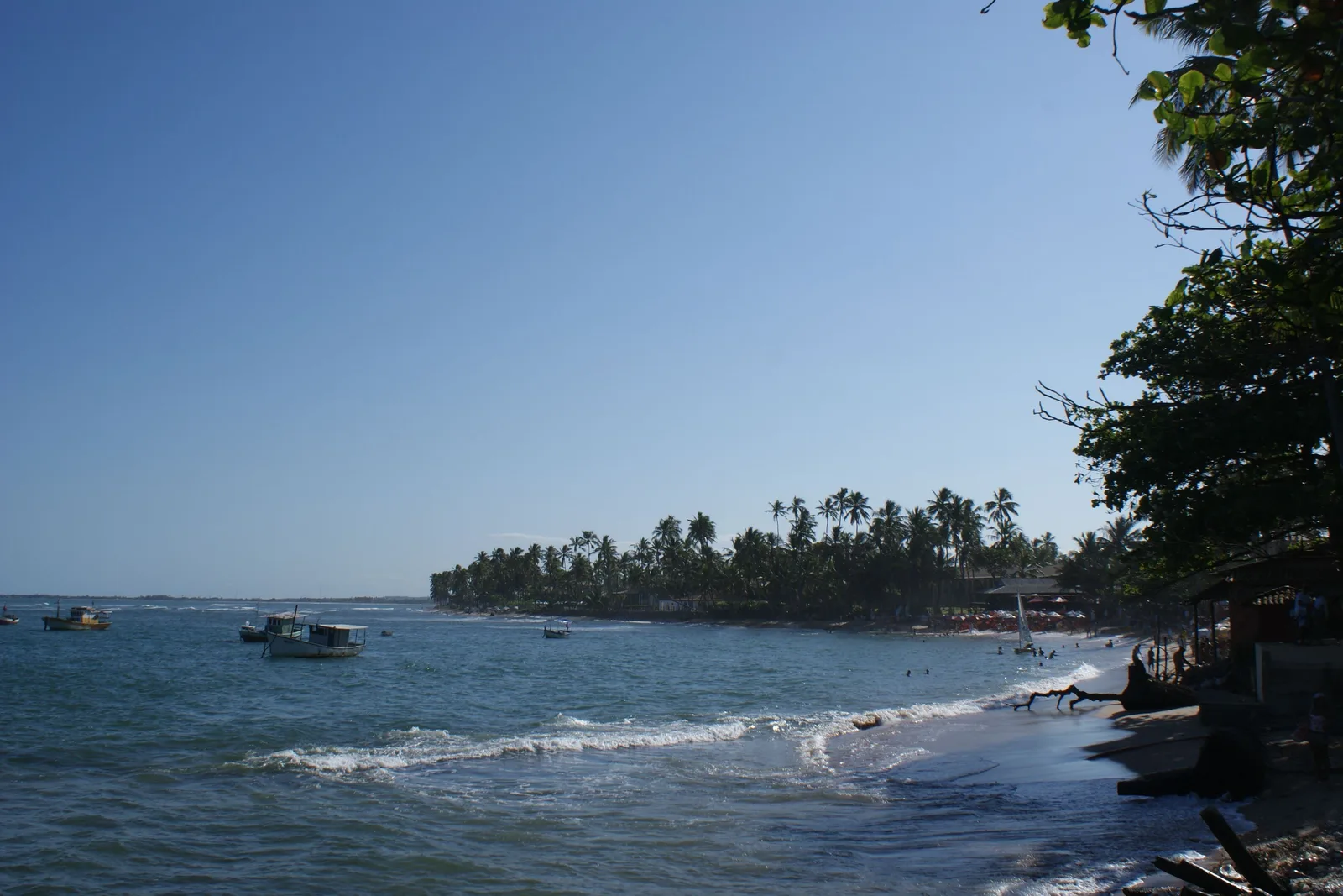 The shoreline at Praia do Forte, small boats on the water and a point lined with coconut palms