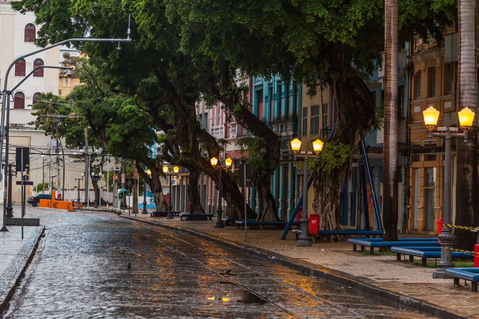 A wet cobbled avenue in Recife Antigo at dusk, tram rails set into the stones, old fig trees and lit lamp posts down the middle of it and painted colonial facades either side