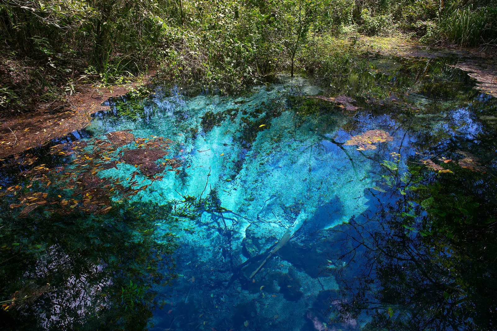 The clear turquoise spring water of the Rio Sucuri at Bonito