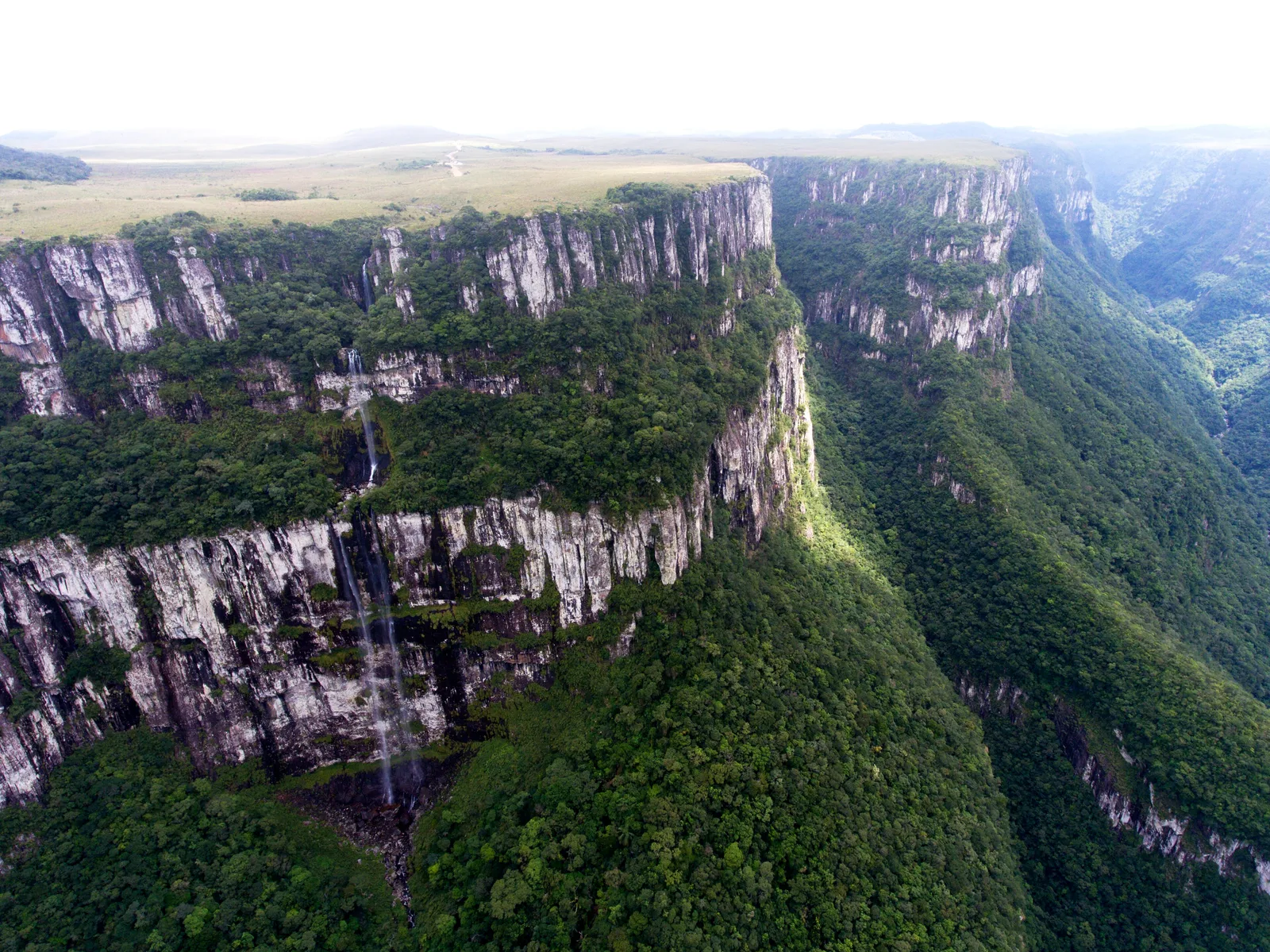 The Fortaleza canyon at Cambará do Sul
