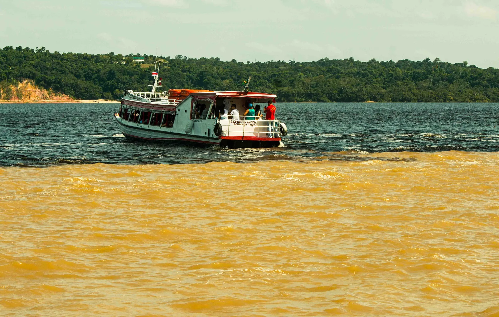 The Meeting of the Waters near Manaus, where the dark Rio Negro and the pale Solimões run side by side