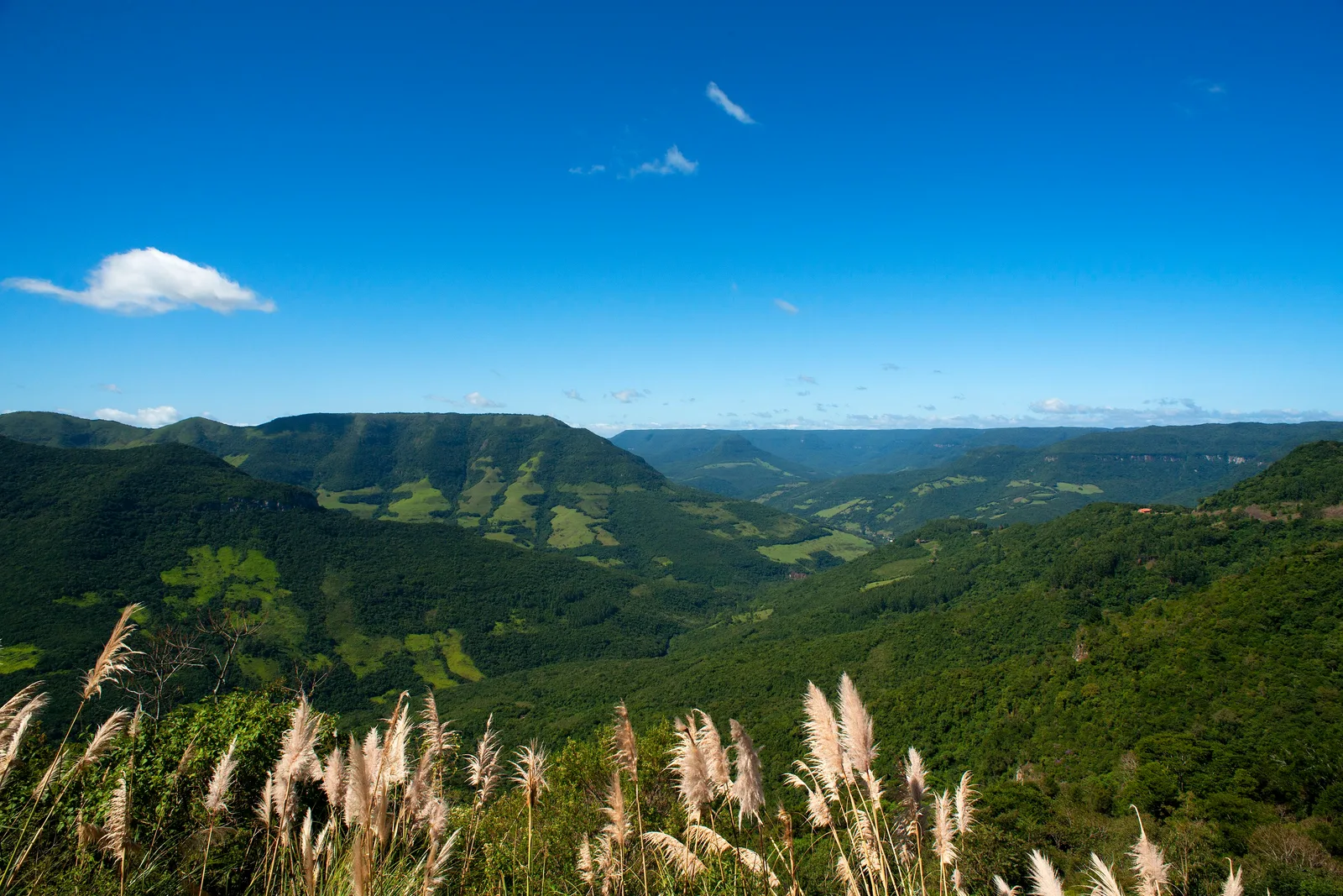 The view from the Rota do Sol lookout in Rio Grande do Sul