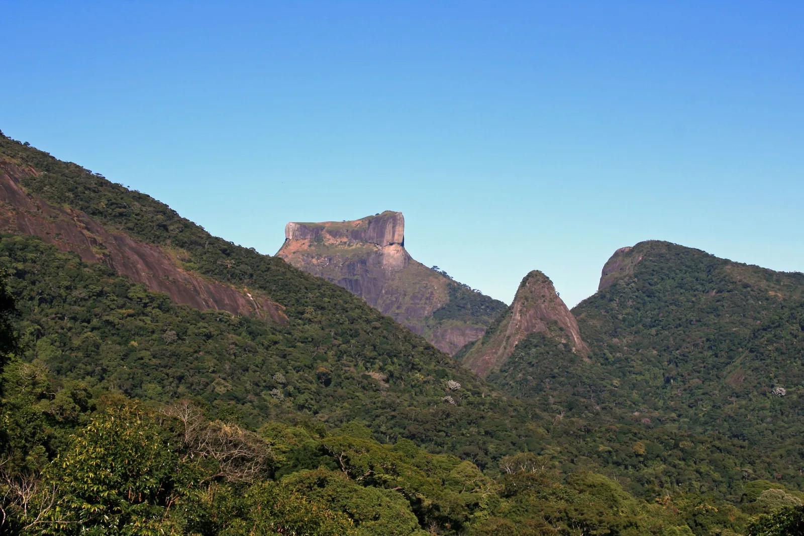 The forested ridges of Tijuca National Park running away from the viewer, with the bare summit of Pedra da Gávea beyond them