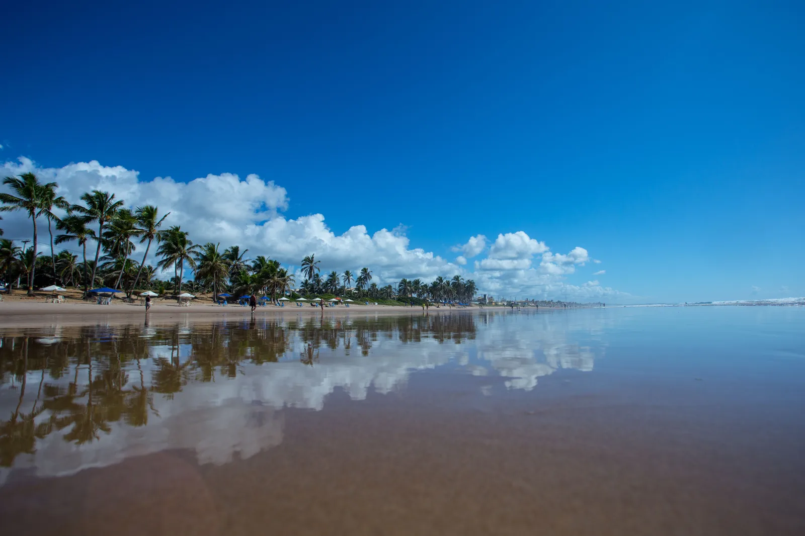 The open Atlantic beach at Praia do Flamengo on Salvador’s northern coast, a wide sheet of wet sand mirroring the sky, coconut palms and a scatter of parasols along the back of it and almost nobody on the shore