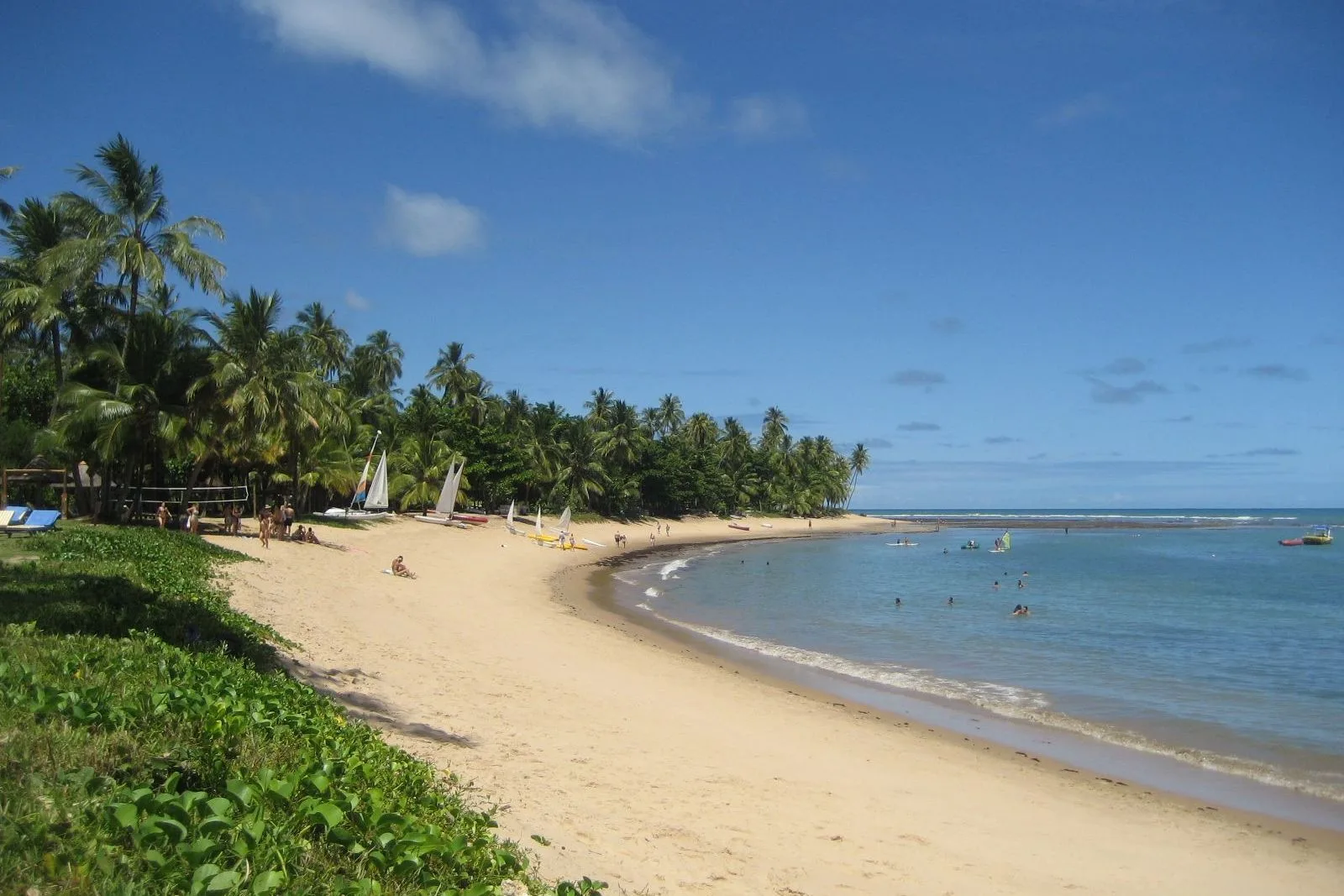 The beach at Praia do Forte: a curve of pale sand backed by dense coconut palms, calm shallow water with a few swimmers standing in it, and a low reef line breaking the swell offshore