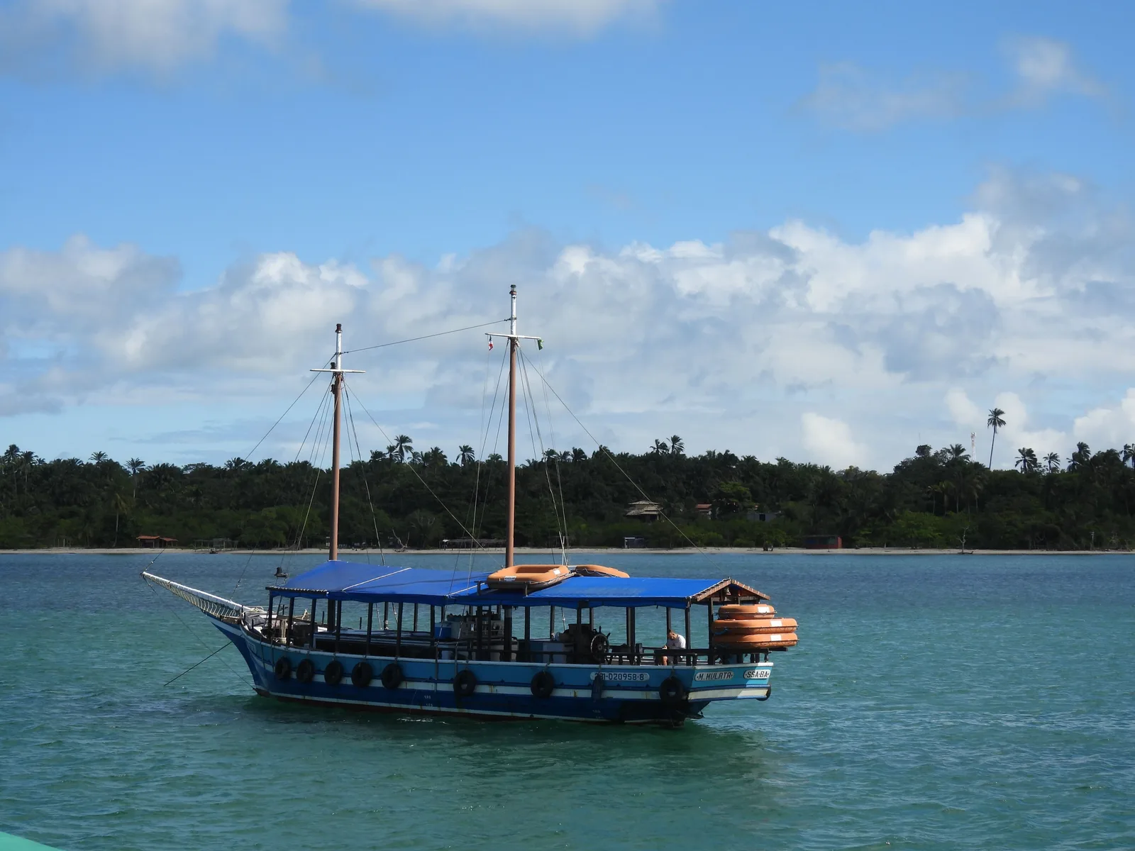 A wooden two-masted schooner with a blue awning lying at anchor in clear green water off Itaparica, a low unbroken line of coconut palms along the shore behind it