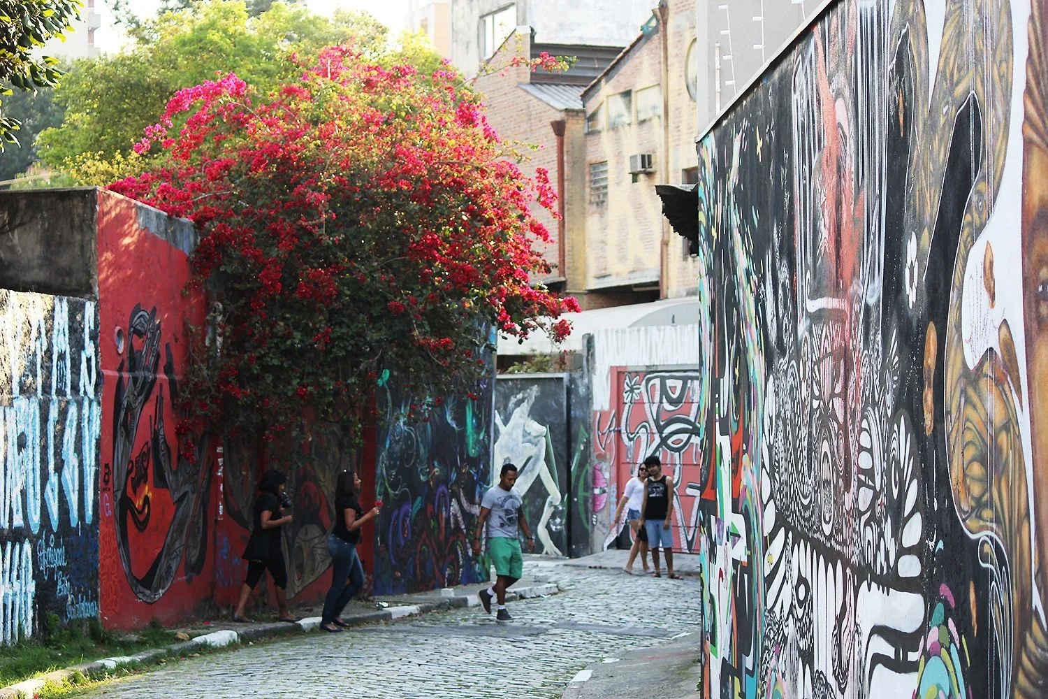 The Beco do Batman: a narrow cobbled lane with murals covering both walls end to end, a mass of magenta bougainvillea spilling over one of them and a few people walking up the slope