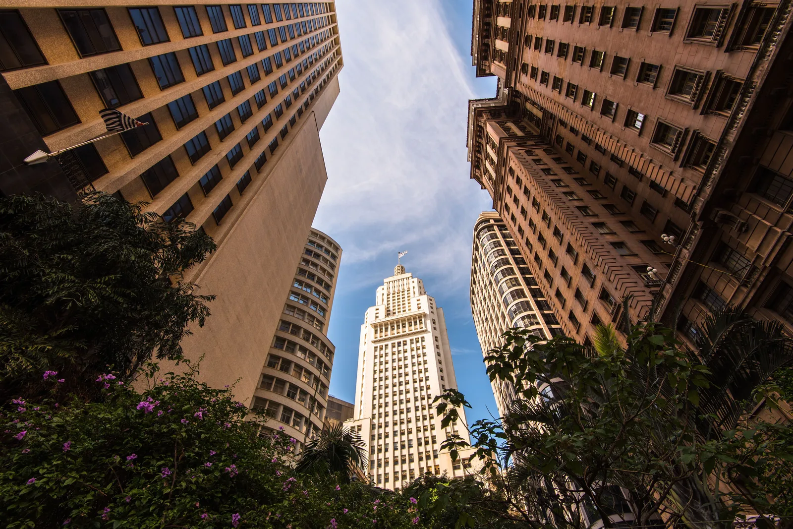 Looking up at the Altino Arantes tower from street level with a wide lens: its stepped pale crown standing in the middle of the frame against a blue sky, the older office blocks of the old center leaning in on either side, and flowering shrubs across the bottom of the picture