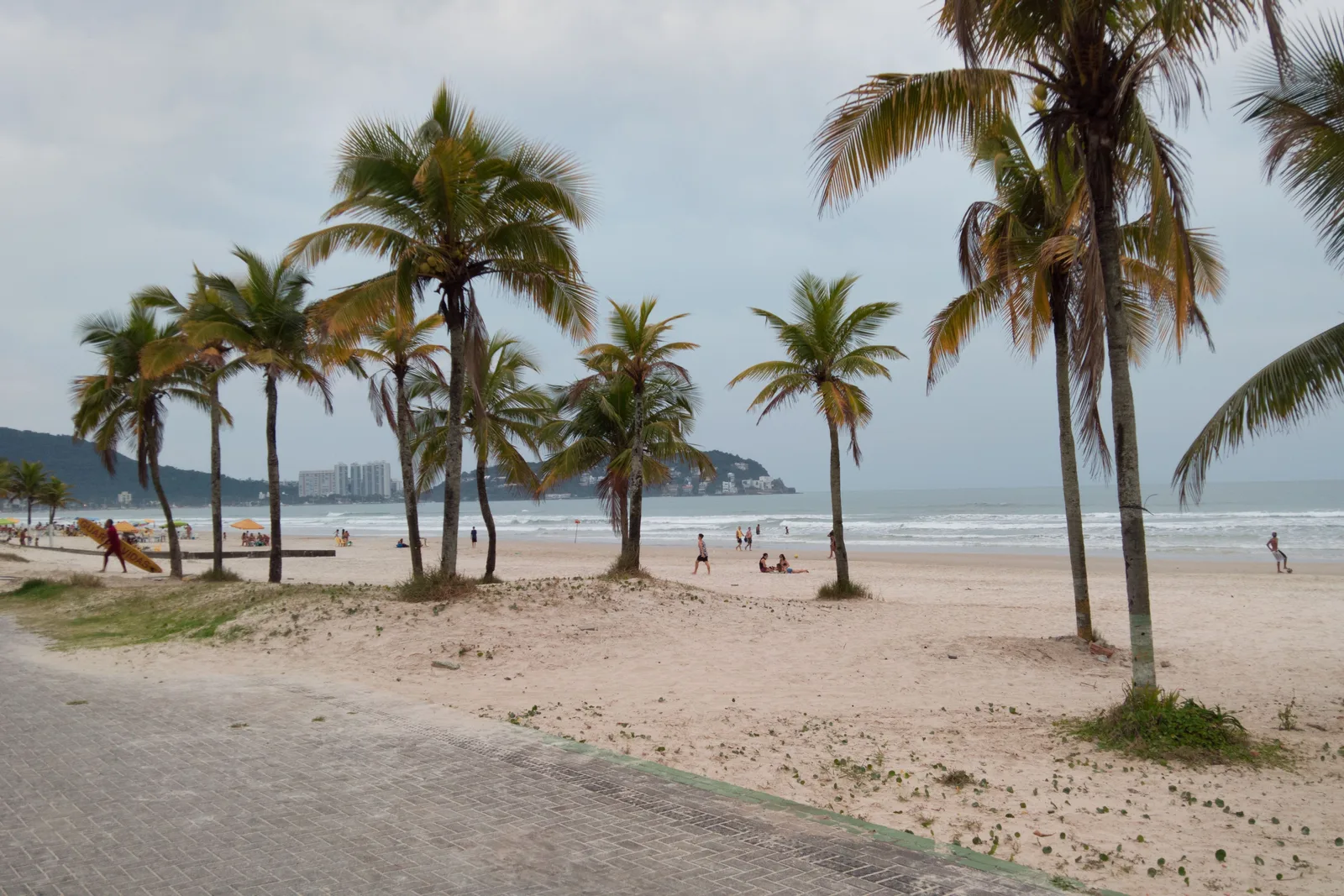 A wide, nearly empty beach at Guarujá under a flat gray sky, a row of tall leaning coconut palms standing along the back of the sand, a green headland closing the bay at the left with apartment towers below it, and a few figures down at the water’s edge