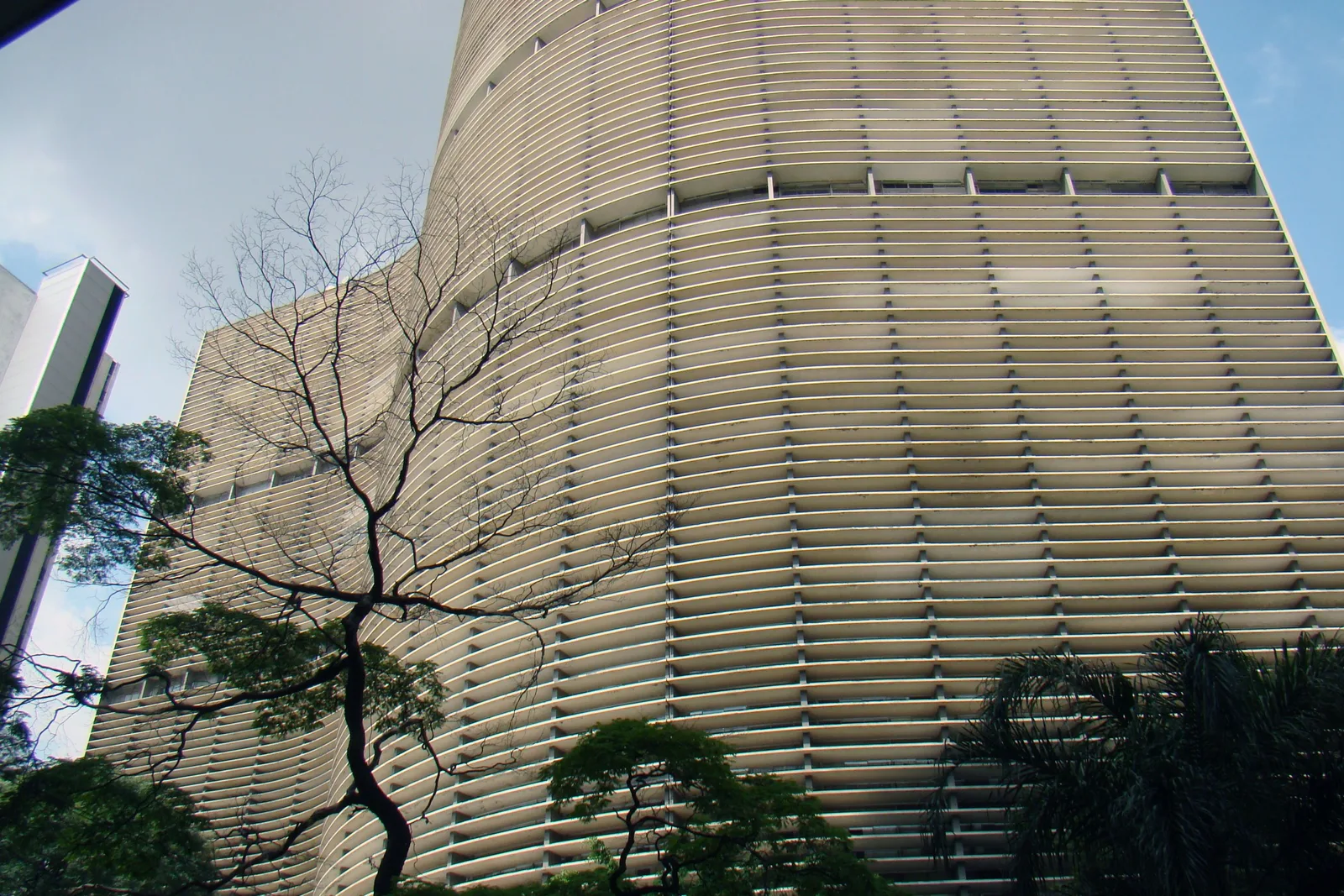 The Copan building’s curving facade filling the frame, band after band of concrete brise-soleil sweeping across it, with a bare tree silhouetted in front