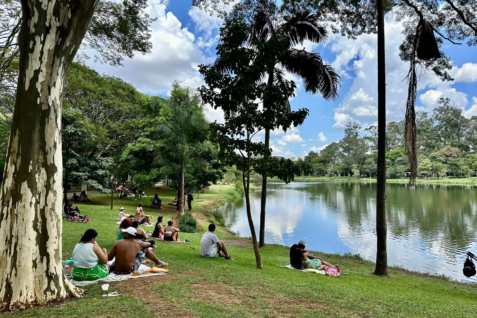 People sitting on the grass in the shade of tall trees beside the lake at Parque Ibirapuera on a bright day, with joggers on the path behind them