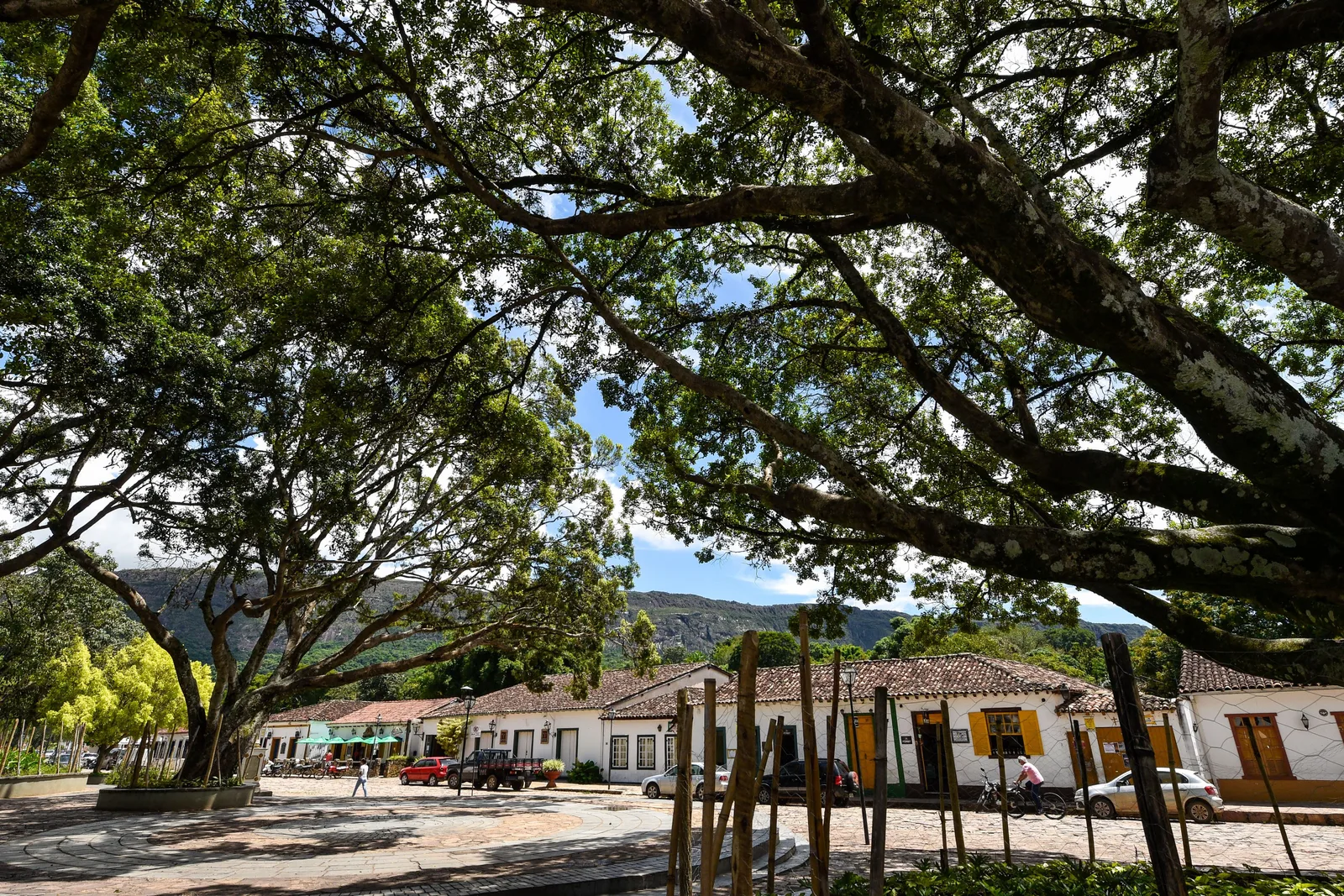 The Largo das Forras in Tiradentes on an ordinary day: the canopy of an enormous old tree spreading right across the frame, with the long row of white colonial houses along the far side of the square beneath it and the wooded ridge of the Serra de São José behind