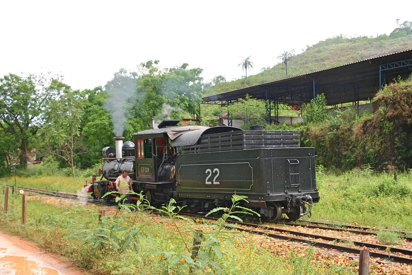 Steam locomotive number 22 standing on the track in a green cutting outside São João del-Rei, with the roof of the railway works behind it