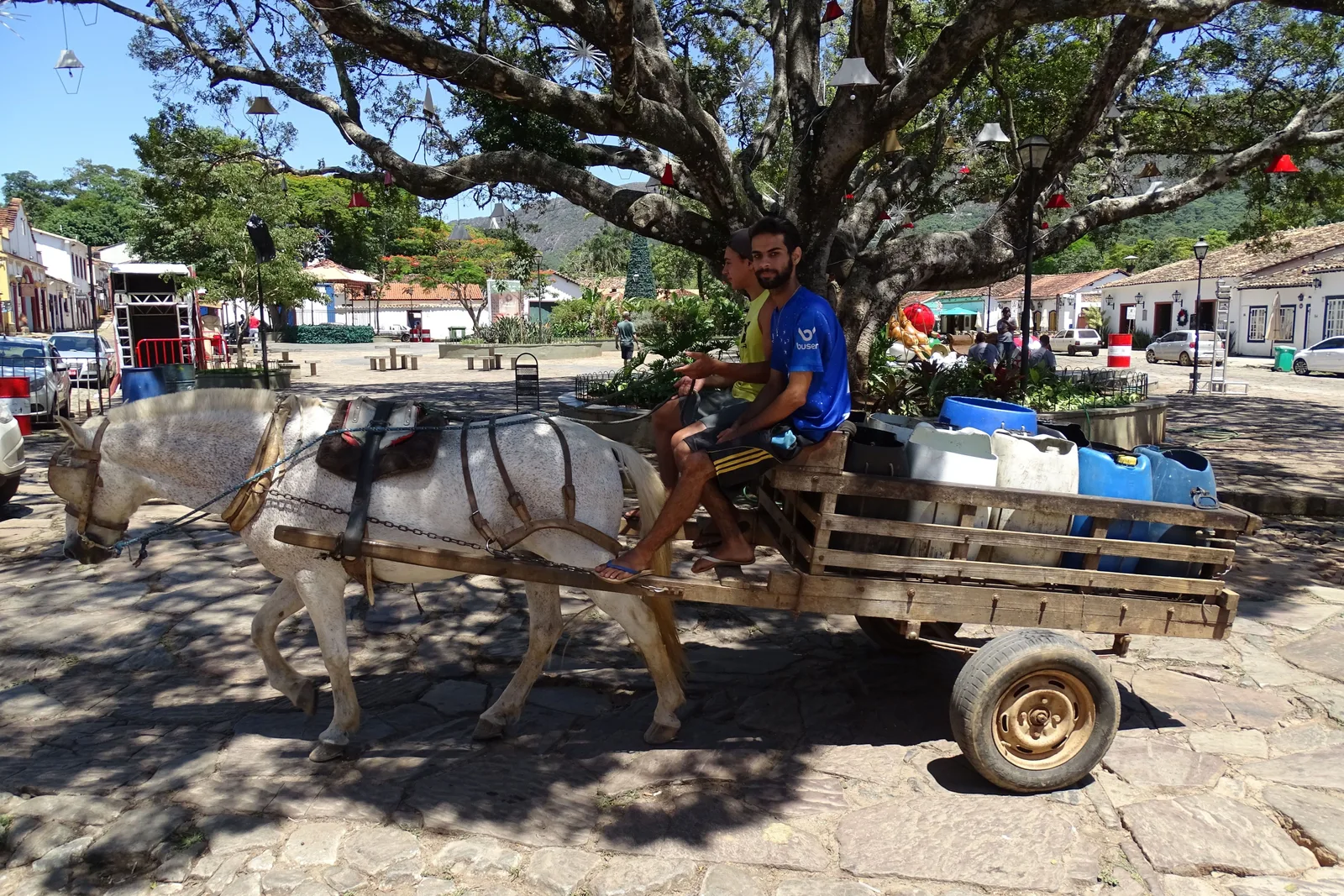 A man driving a mule-drawn flatbed cart loaded with blue drums across the Largo das Forras in Tiradentes, under the big trees at the edge of the square
