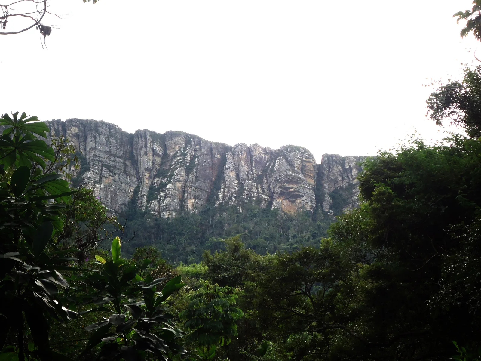 The pale gray rock face of the Serra de São José rising in vertical bands above a dense green wall of forest, with more trees in the foreground